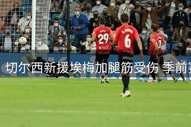 切尔西新援埃梅加腿筋受伤 季前赛澳洲站确定缺席